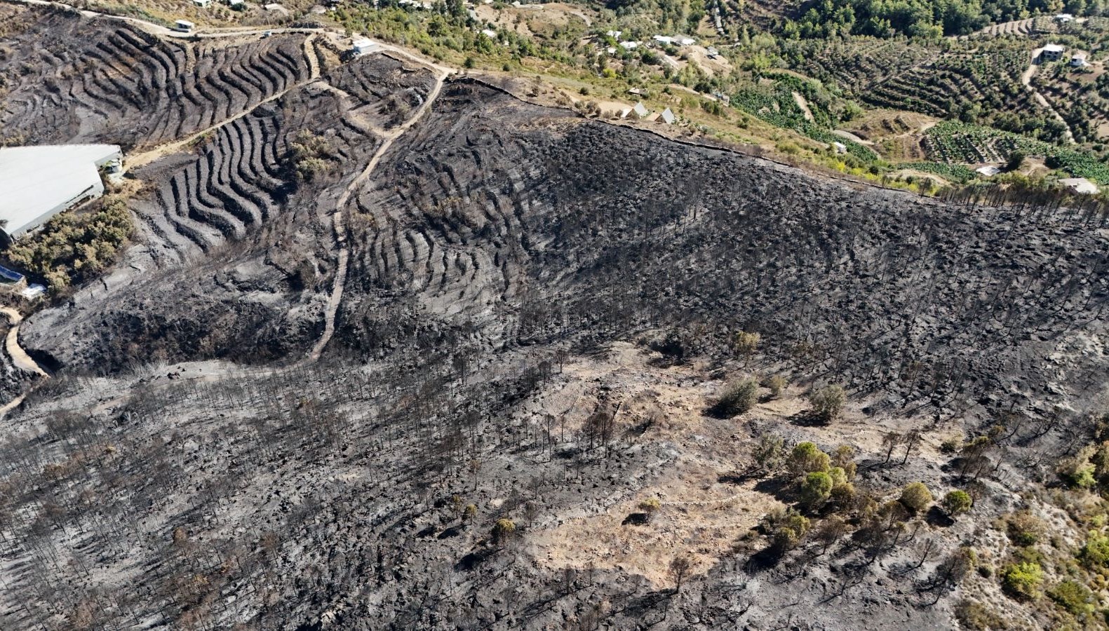 antalyadaki orman yanginin bilancosu havadan goruntulendi bPNdkBvG
