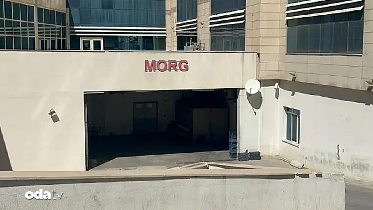 siirtte aci olay meyve toplamak isterken canindan oldu R2CsmMdf