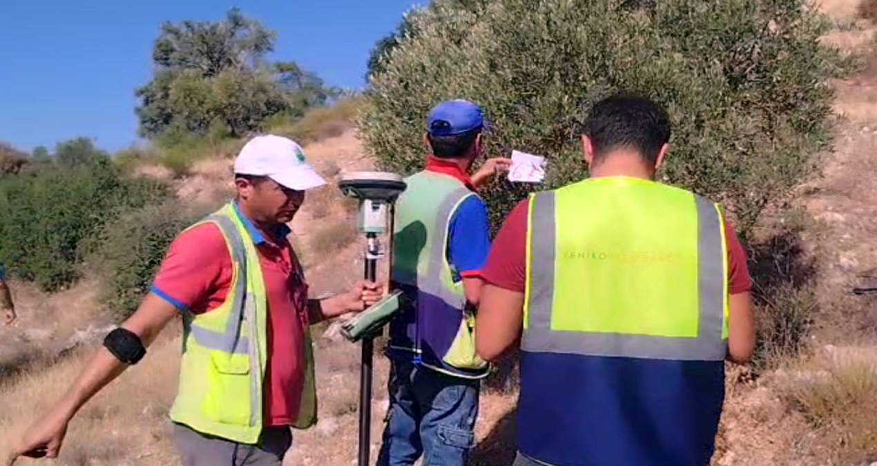 yk enerji akbeleni bitirdi zeytin tarlalarina daldi 8ynYGDPH