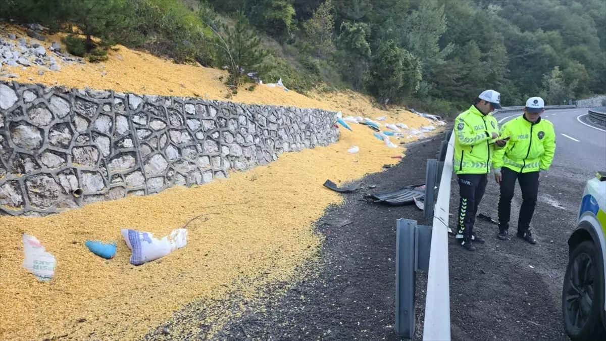 bursa inegolde hayvan yemi yuklu tir devrildi 2 agir yarali bB43dYOW