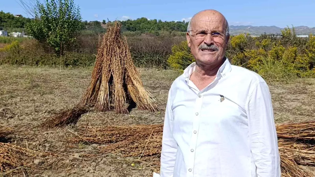 manavgat susami hirsizligi fIuRZEap.jpg