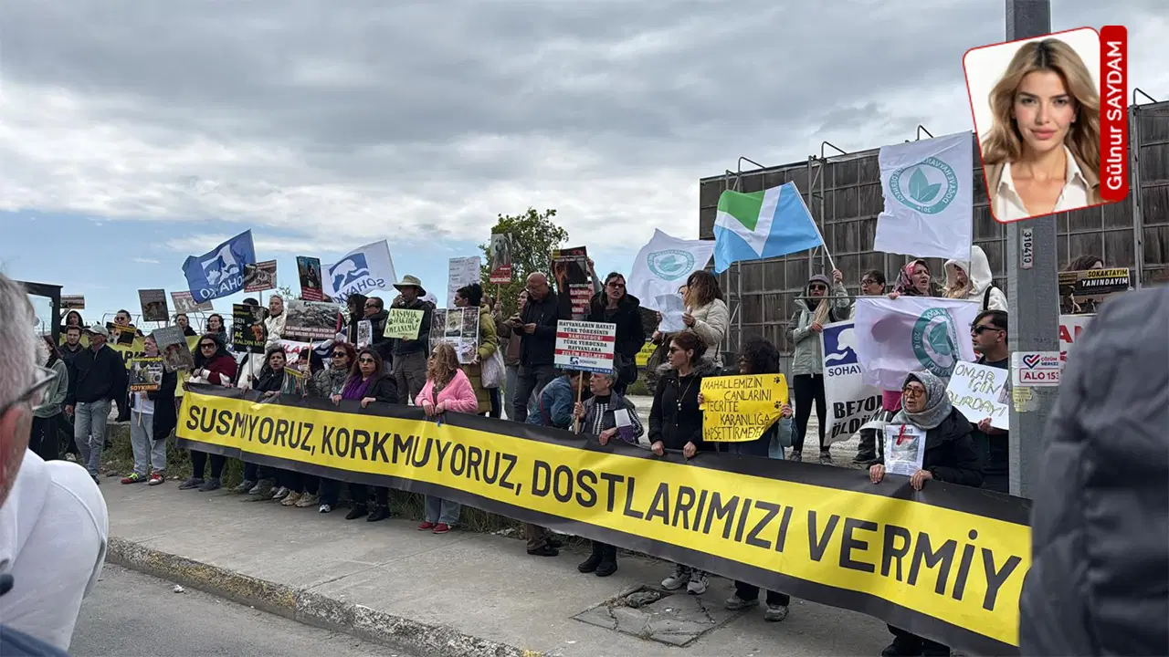 Hayvan Hakları Savunucularından Ötanazi Tepkisi: ‘Katliam’ Toplantısı Protesto Edildi