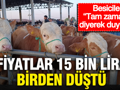 Fiyatlar 15 bin lira birden dustu besiciler tam zamani diyerek duyurdu 8UaR8dRU